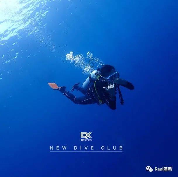 天启联盟