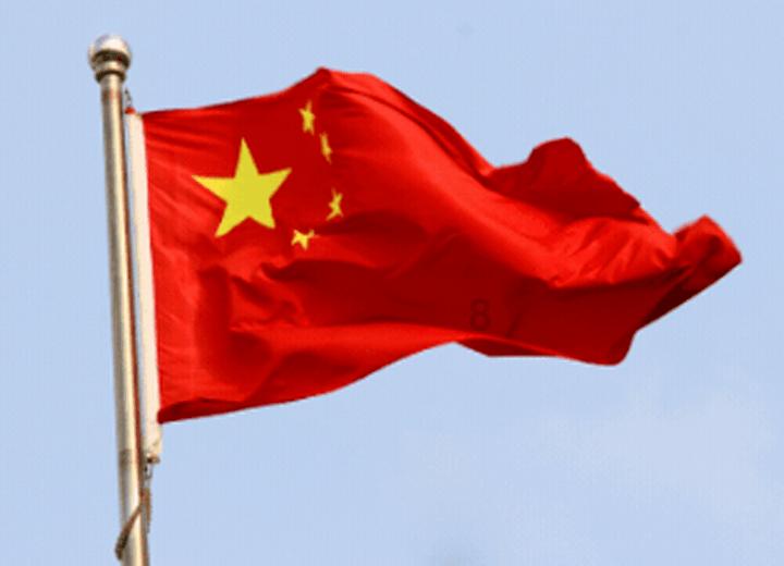 植物大战僵尸8