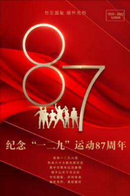 哥特舰队