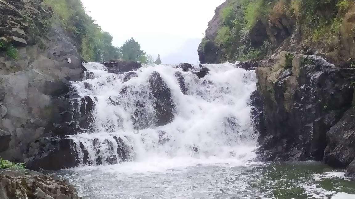 救援小袋熊