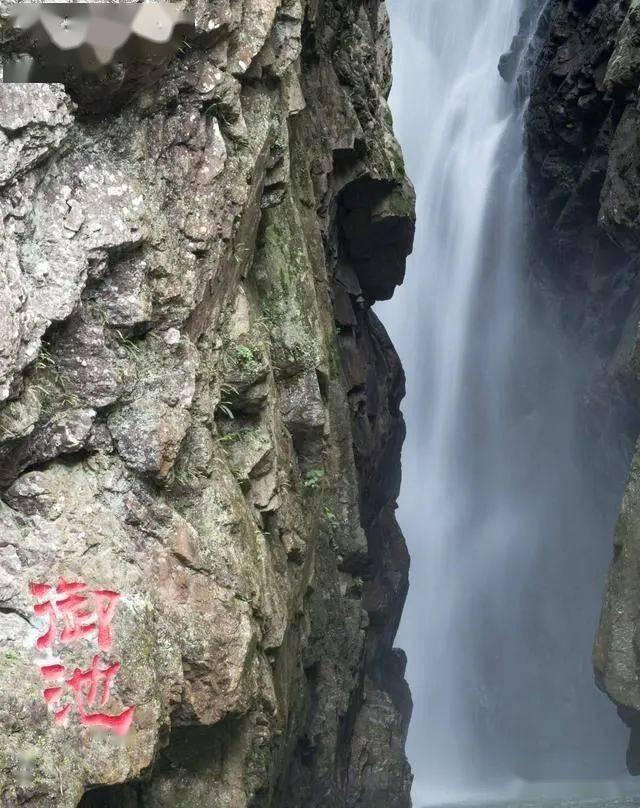 小狗救援行动选关版