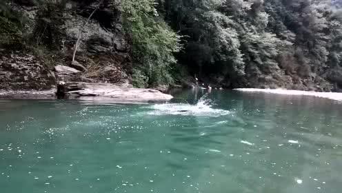 枪血黑手党