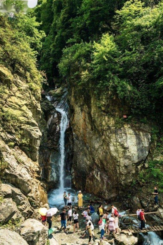 鄂州东风天锦减震器