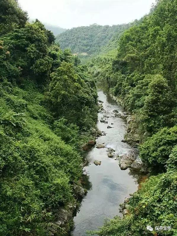 传说“千年人参会跑”，这是真的吗？老人告知背后原因游戏画面